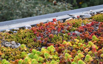 the cost of Dockray green roof installation