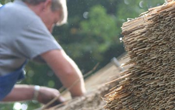 professional Dockray thatchers